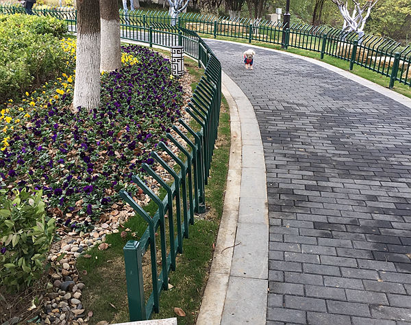 綠化帶護欄 綠化帶護欄